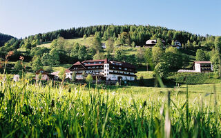 Náhled objektu Stigenwirth, Krakauebene, Murau / Lachtal, Rakousko