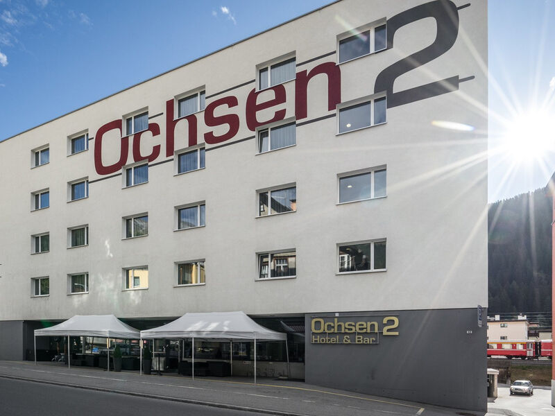 Ochsen 2